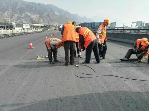 田林道路桥梁病害治理